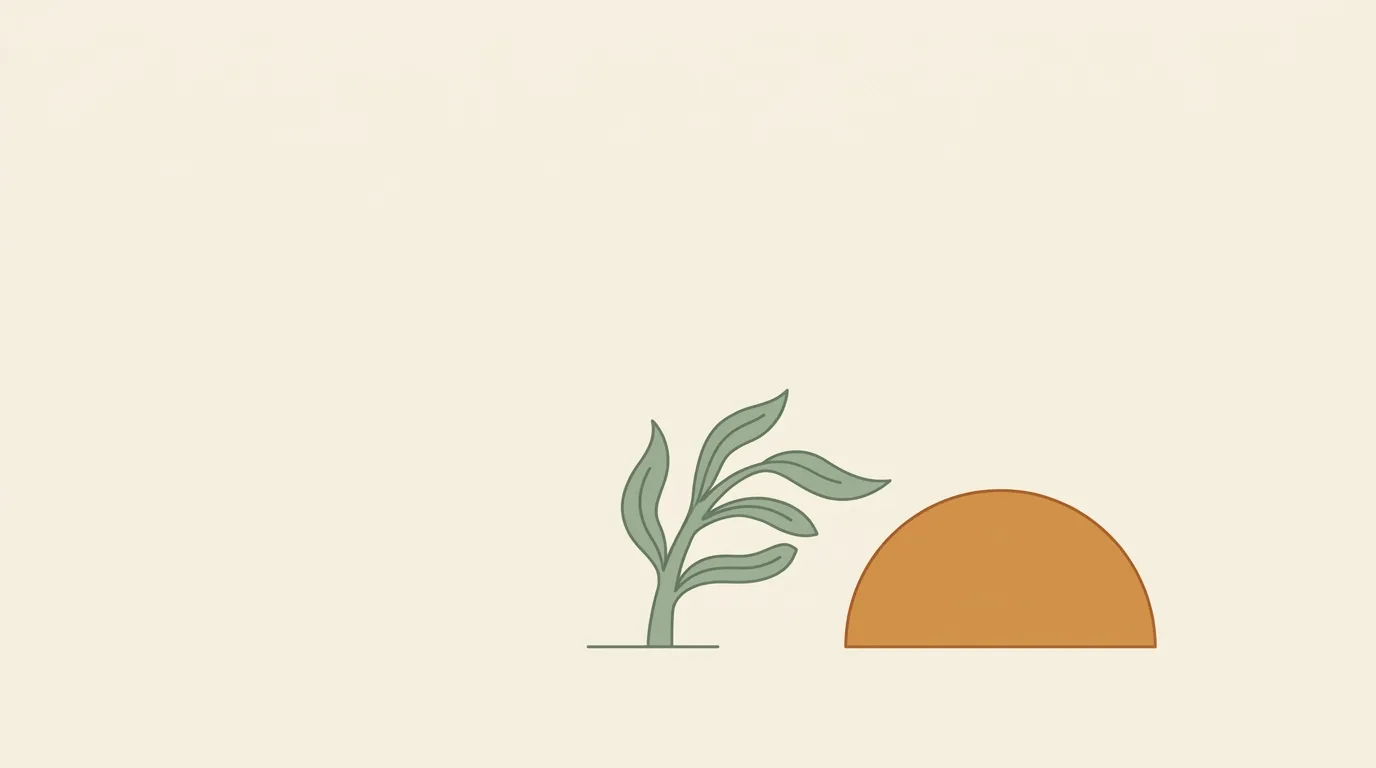 How Optimism Affects Your Happiness - The Secret to Become Happier Today