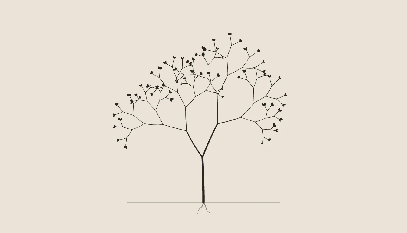 A tree grown from a seed, branch by branch.